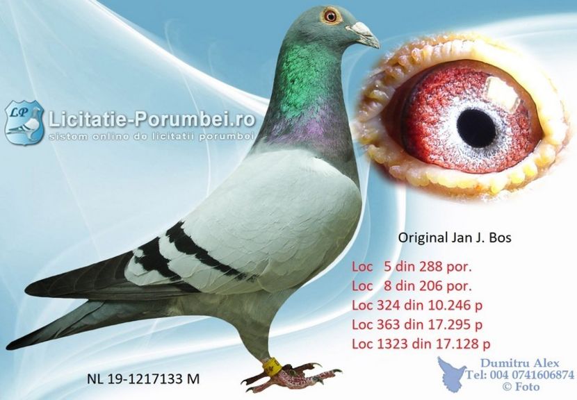  - Achizitii porumbei -2021