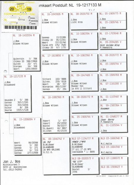33ped - Achizitii porumbei -2021