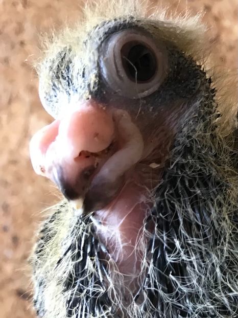 2B6B1123-A4D9-49F8-BABF-496401CFFD5B - Tineret 2021