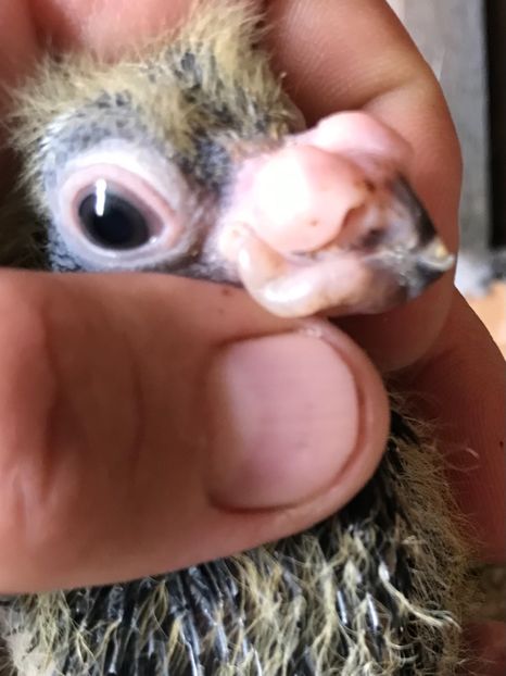 D6336FA6-7B35-468F-A00B-DAA1BA25C7DD - Tineret 2021