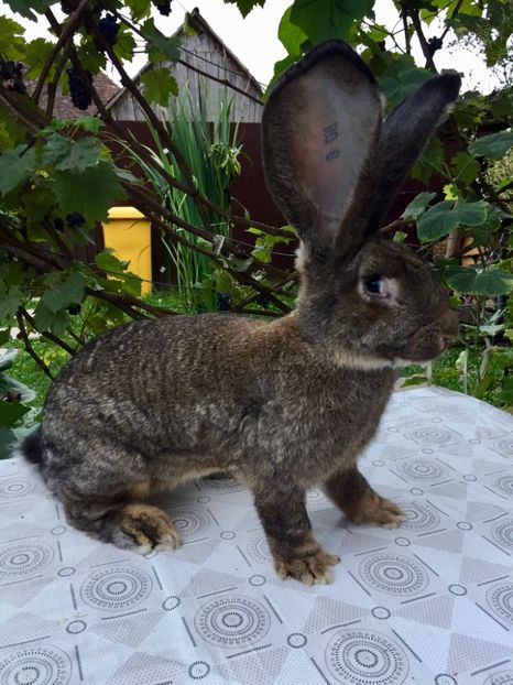 8D66A3F3-4698-445F-B6AC-B7A68A916E48 - RO 8-114