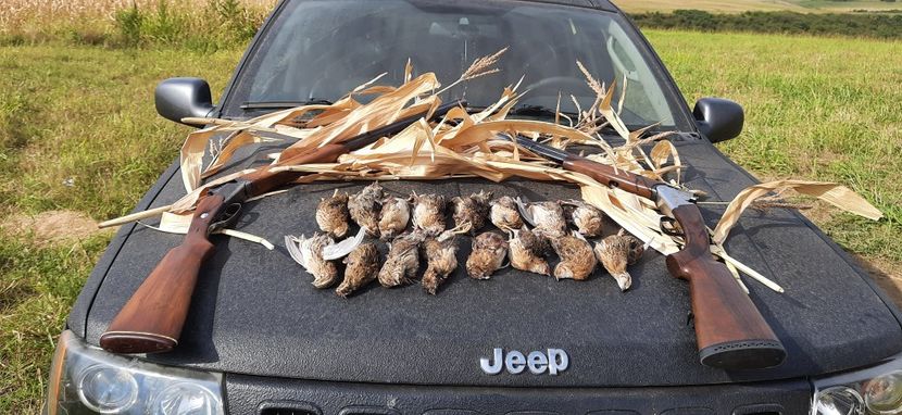  - vanatoare si pescuit