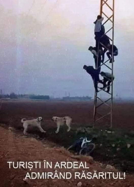  - Bancuri cu Ardeleni