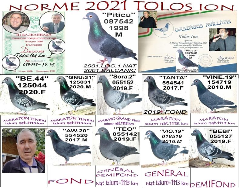 z.NORME 2021 TOLOS - 2-2021 MARATONISTI