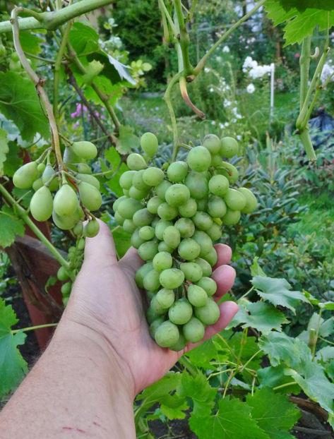  - 2021 - 03 - Toamna