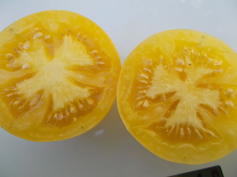  - SEMINTE ROSII - T 799 PECHE BLANCHE