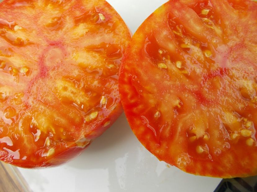  - SEMINTE ROSII - T 649 DOMAINE DE SAINT JEAN DE BEAUREGARD