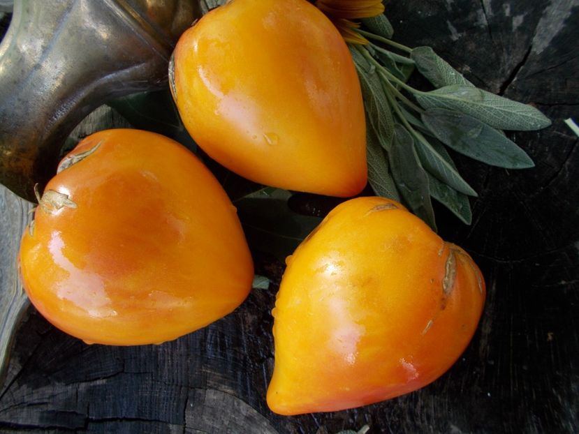  - SEMINTE ROSII - T 675 DESDEMONA S HEART