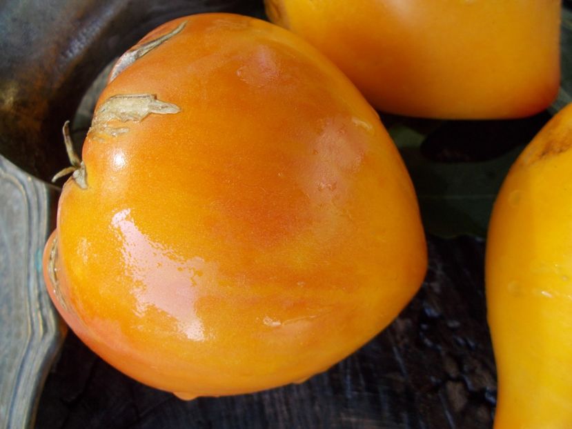  - SEMINTE ROSII - T 675 DESDEMONA S HEART