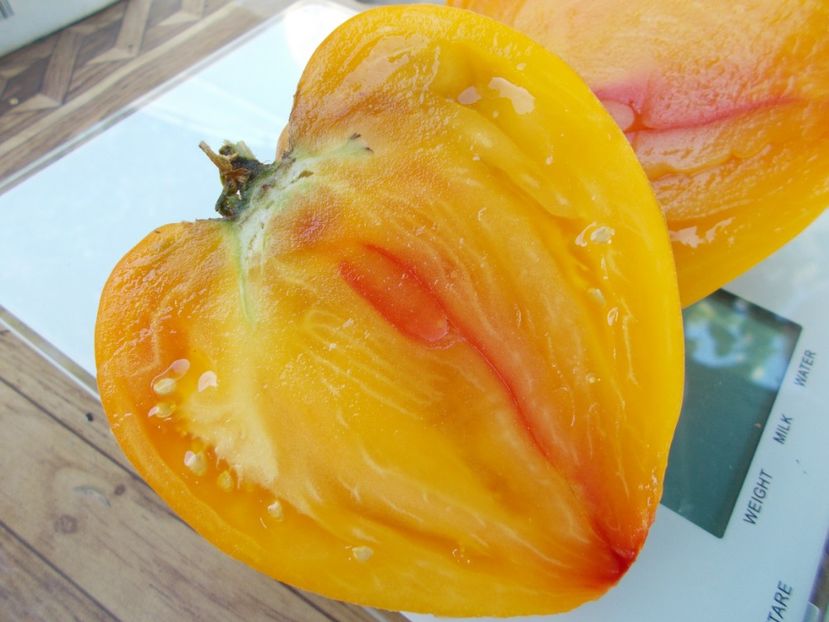  - SEMINTE ROSII - T 675 DESDEMONA S HEART