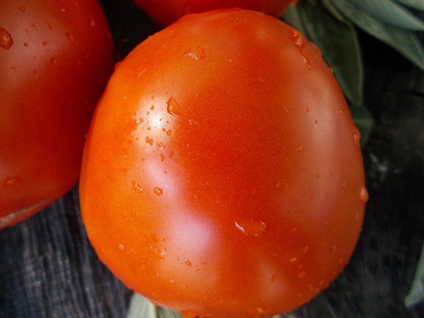  - SEMINTE ROSII - T 721 VOLOGDA