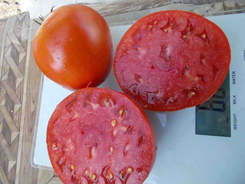  - SEMINTE ROSII - T 721 VOLOGDA