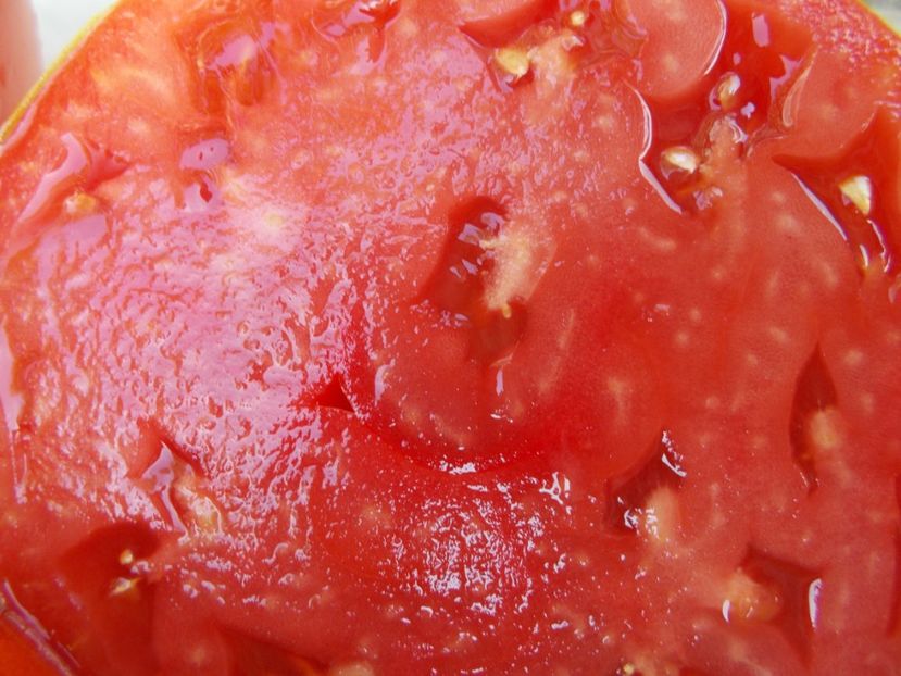  - SEMINTE ROSII - T 721 VOLOGDA