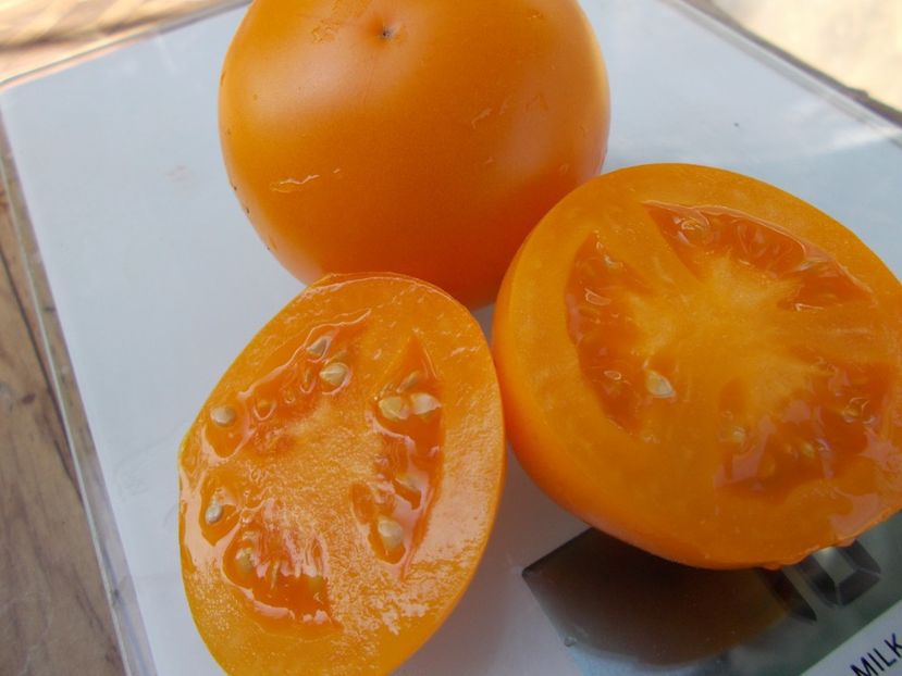  - SEMINTE ROSII - T 679 APELSIN