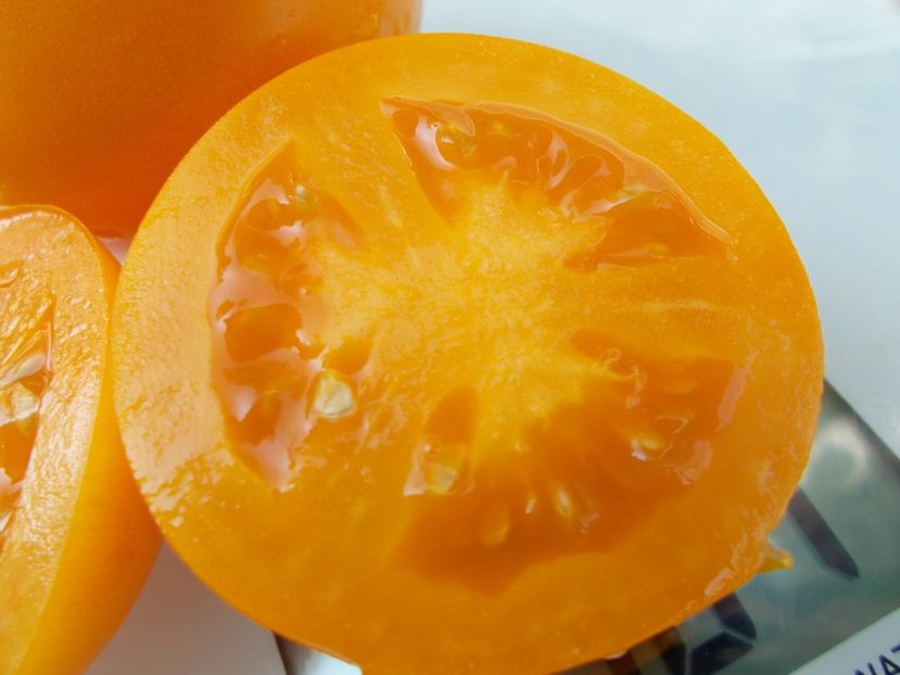  - SEMINTE ROSII - T 679 APELSIN