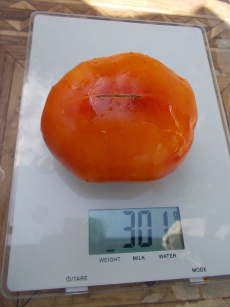  - SEMINTE ROSII - T 649 DOMAINE DE SAINT JEAN DE BEAUREGARD