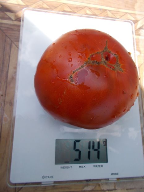  - SEMINTE ROSII - T 637 RADIATOR CHARLIE - MORTGAGE LIFTER