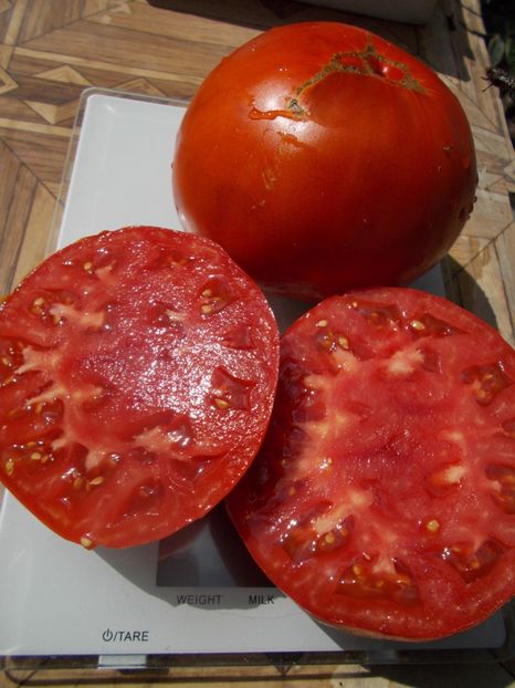  - SEMINTE ROSII - T 637 RADIATOR CHARLIE - MORTGAGE LIFTER