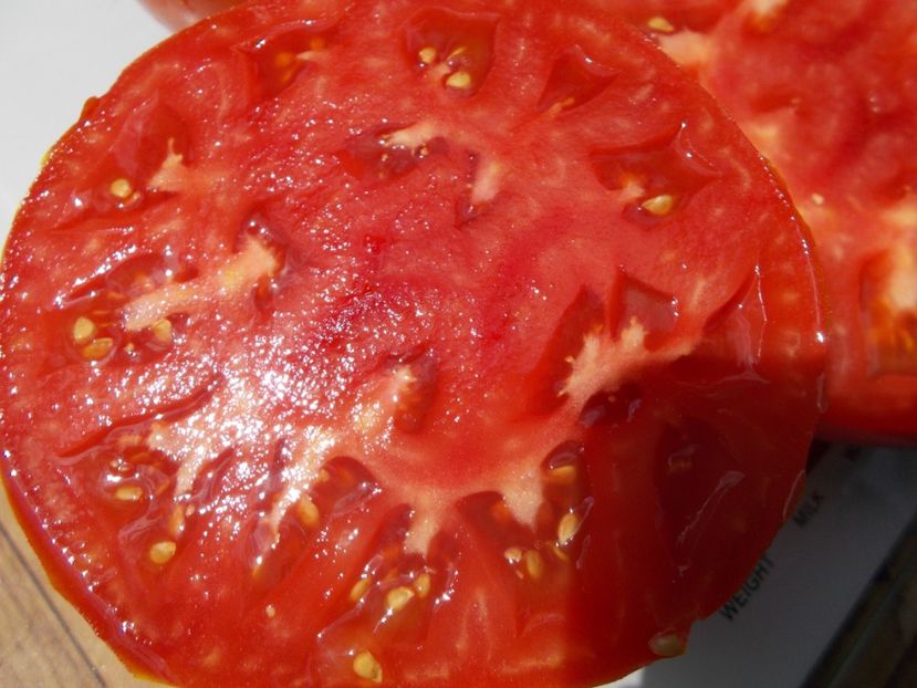  - SEMINTE ROSII - T 637 RADIATOR CHARLIE - MORTGAGE LIFTER