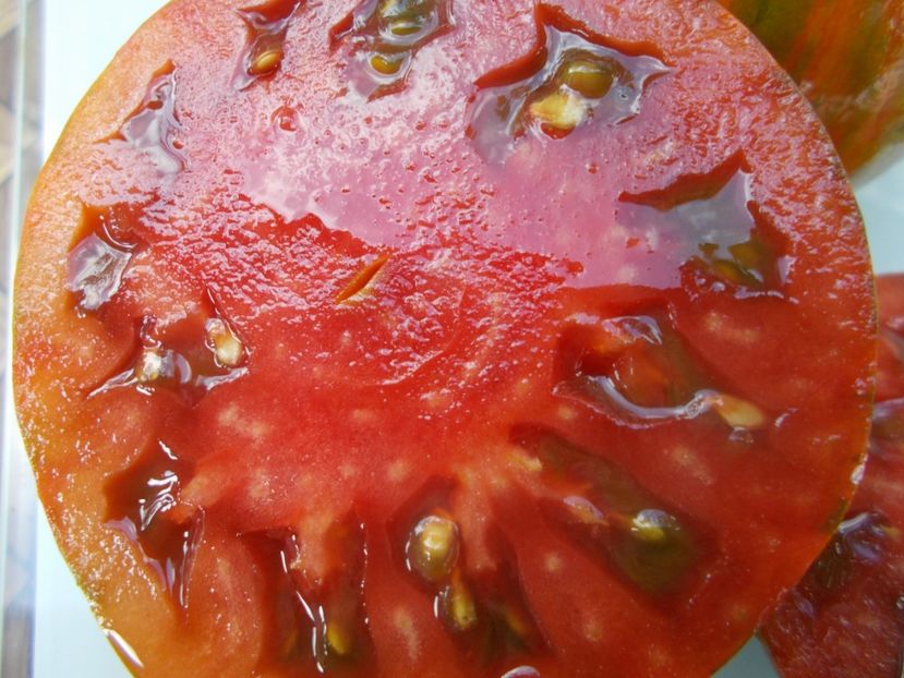  - SEMINTE ROSII - T 662 LUC