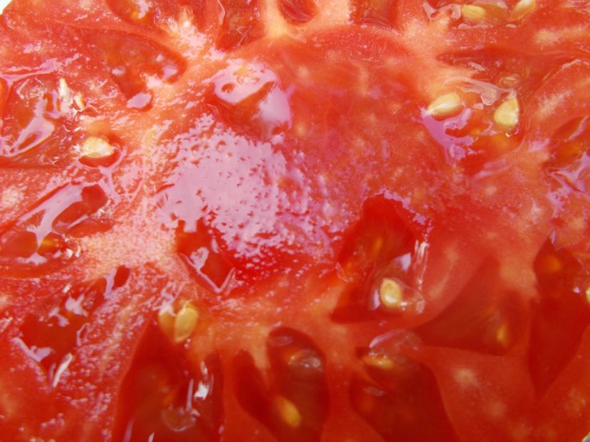  - SEMINTE ROSII - T 636 KUM