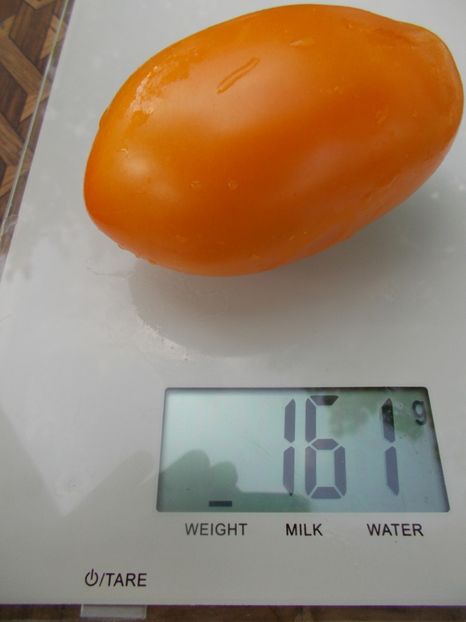  - SEMINTE ROSII - T 683 OLESJA