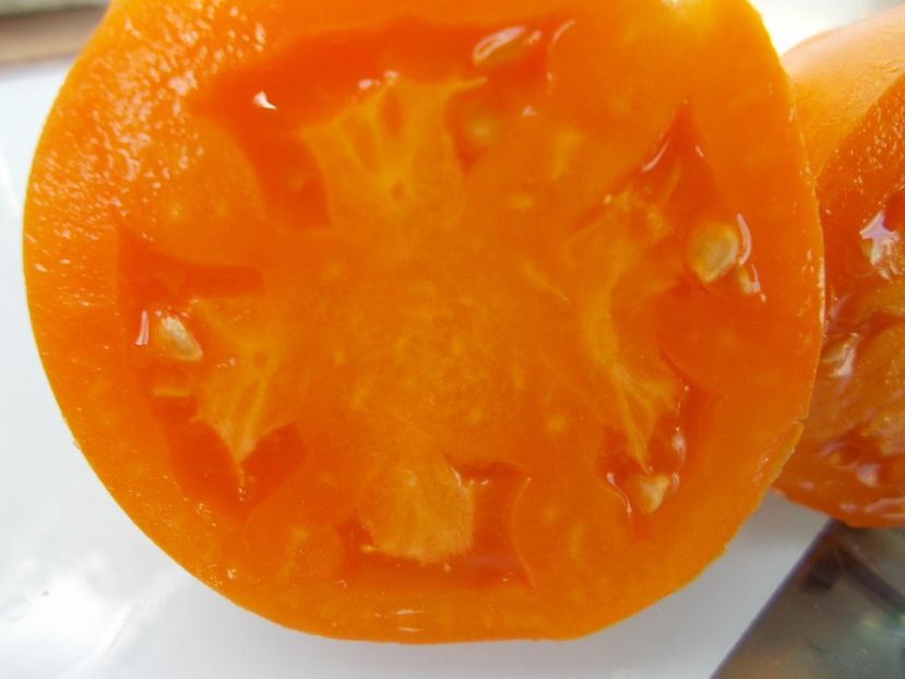  - SEMINTE ROSII - T 683 OLESJA