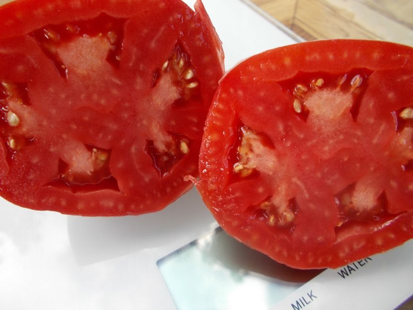  - SEMINTE ROSII - T 639 OSLINYY USHI