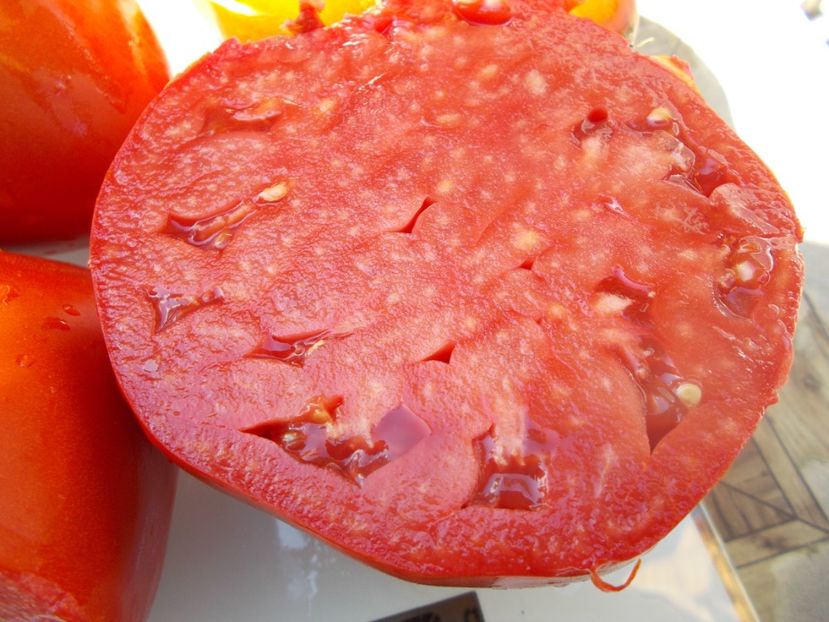  - SEMINTE ROSII - MOMINI SALZI - LACRIMILE FECIOAREI