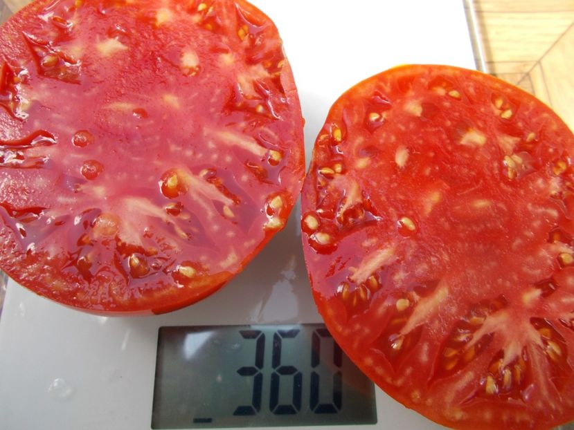  - Z SEMINTE ROSII - T 635 CUL DE SINGE - neconforma