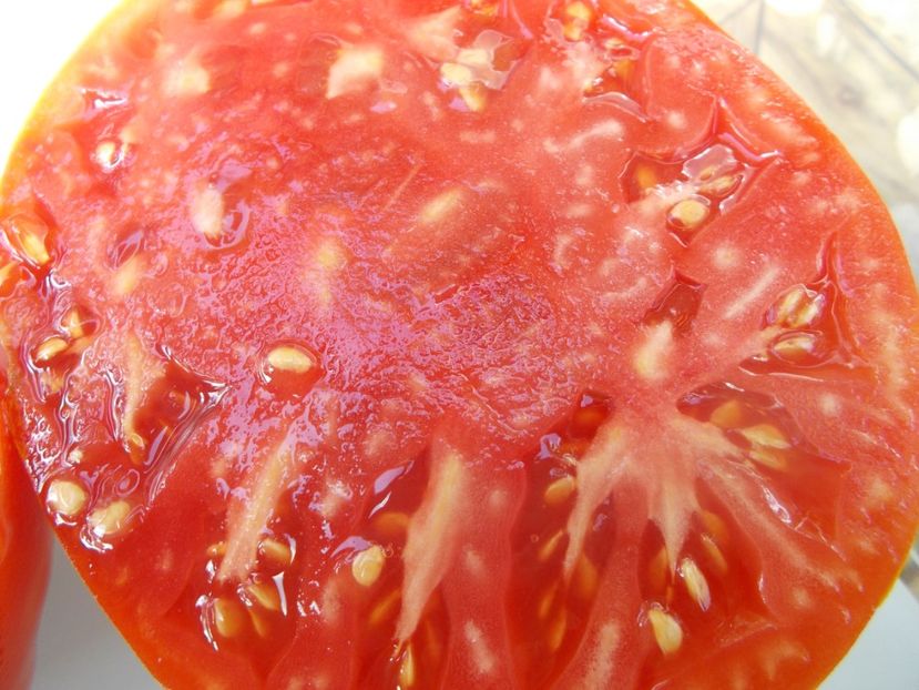  - Z SEMINTE ROSII - T 635 CUL DE SINGE - neconforma