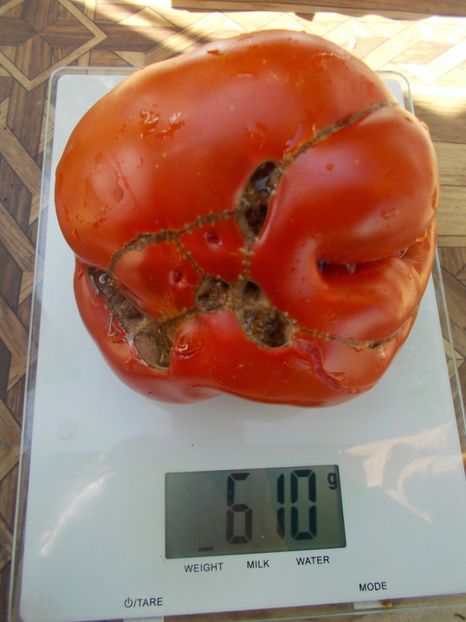  - SEMINTE ROSII - T 663 BELIEVE IT OR NOT