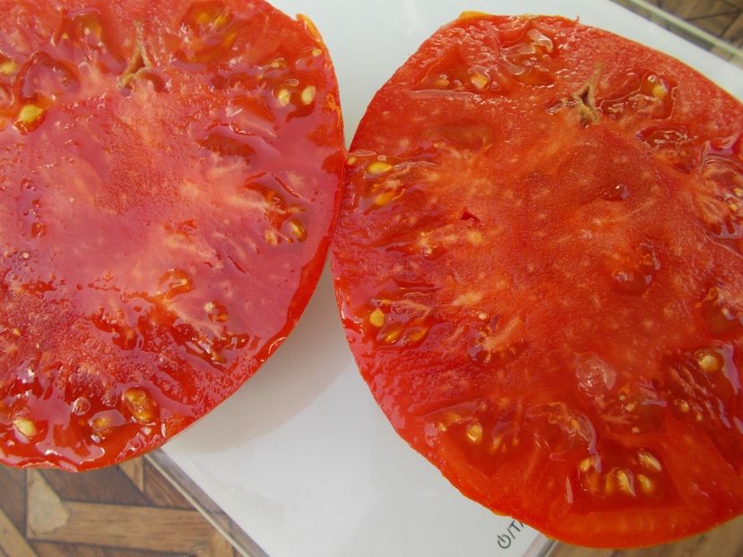  - SEMINTE ROSII - T 663 BELIEVE IT OR NOT