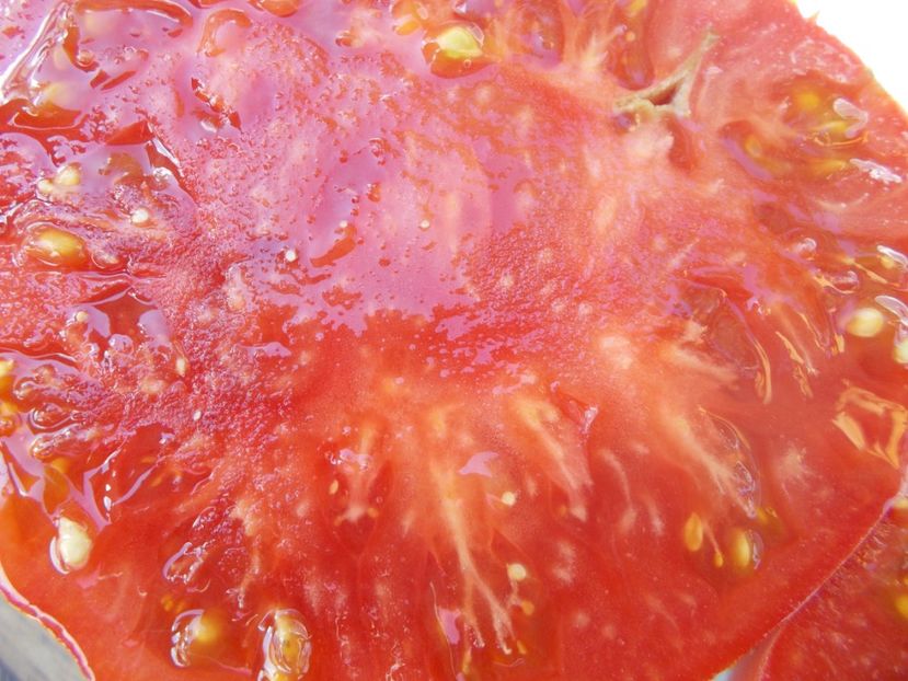  - SEMINTE ROSII - T 663 BELIEVE IT OR NOT