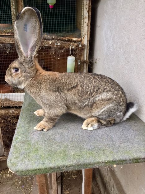 2E4BB995-BB37-4D3D-8B0B-7D6913F75253 - RO 8-116