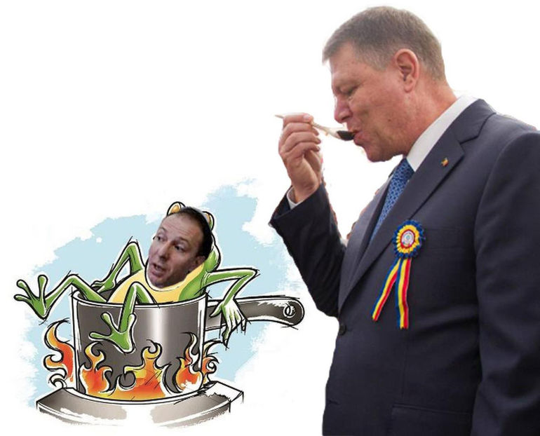  - Poze haioase pamflet