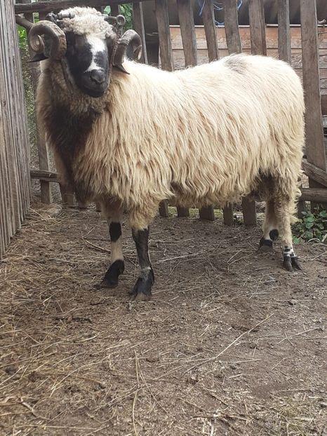 IMG-20210831-WA0017 - Oi 2021