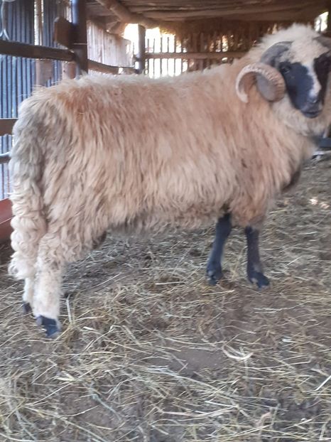 IMG-20210830-WA0013 - Oi 2021