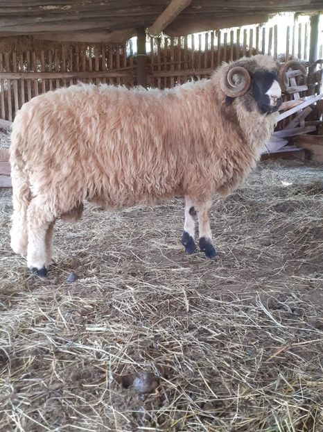 IMG-20210830-WA0004 - Oi 2021