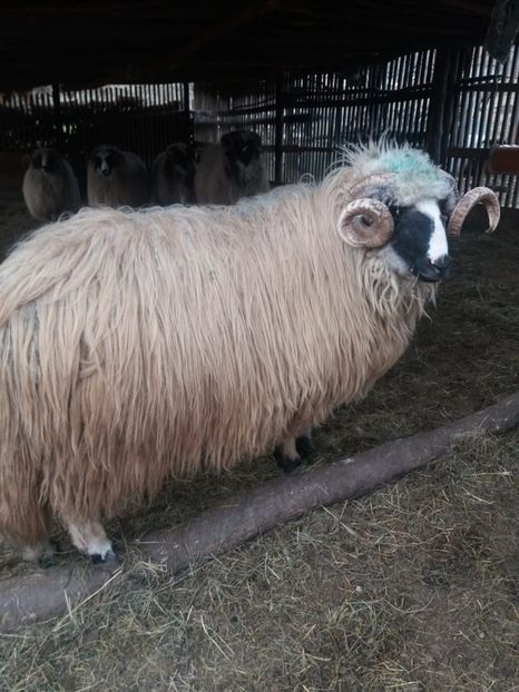 IMG-20200502-WA0012 - Oi 2021