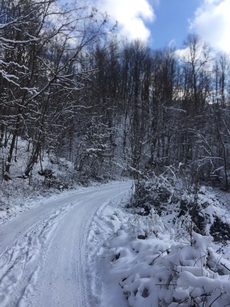 IMG-20210117-WA0019 - Oi 2021