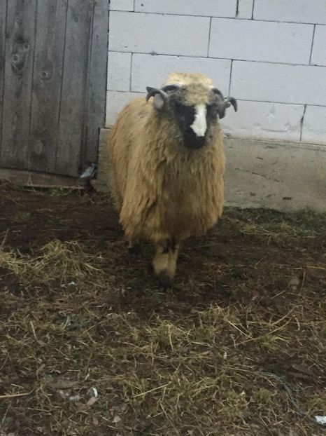 IMG-20201227-WA0000 - Oi 2021