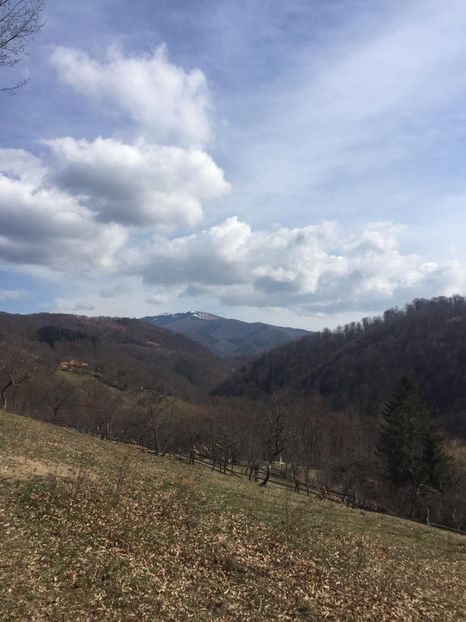 IMG-20200315-WA0002 - Oi 2021