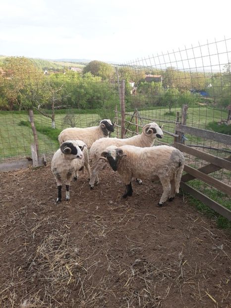 IMG-20200526-WA0000 - Oi 2021