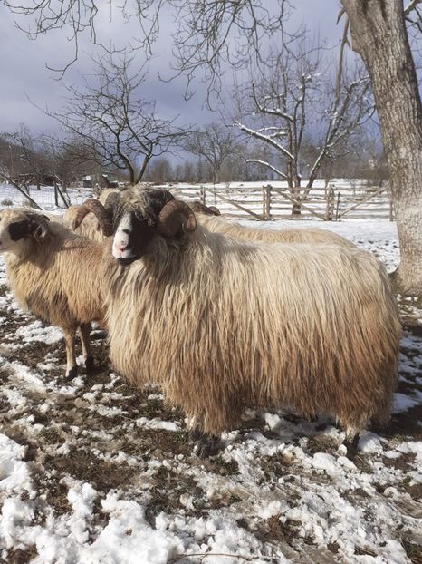 IMG-20210127-WA0008 - Oi 2021