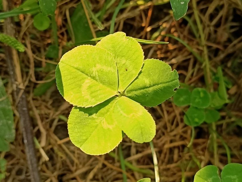 Img.2021.07.30 - F-Concediu