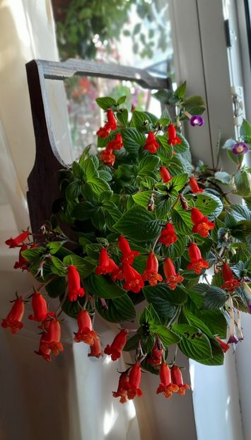 Evita - ultima sedinta foto 2021