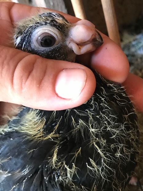 8CD55A45-B4CE-42C9-A72A-90AFE8AECB0C - Tineret 2021