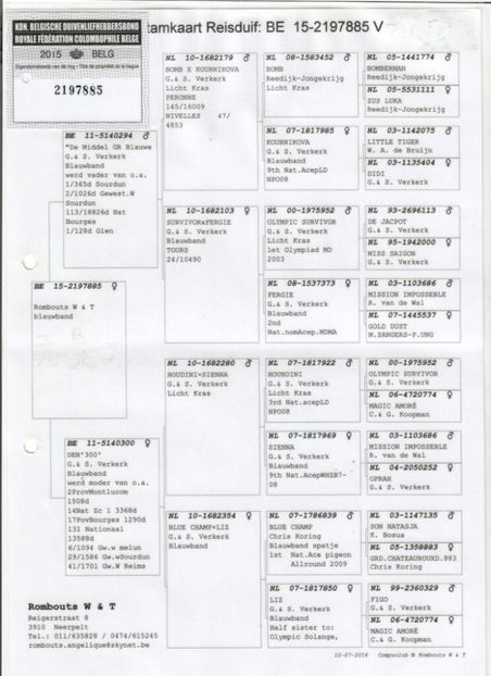 BE-15-2197885 - Achizitii porumbei -2021