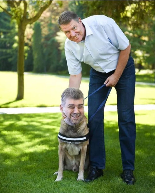  - Poze haioase pamflet